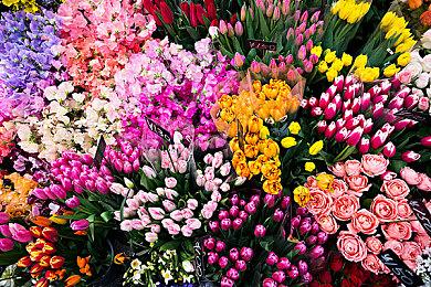 《幽灵线：东京》升级档：优化细节，新增电影模式